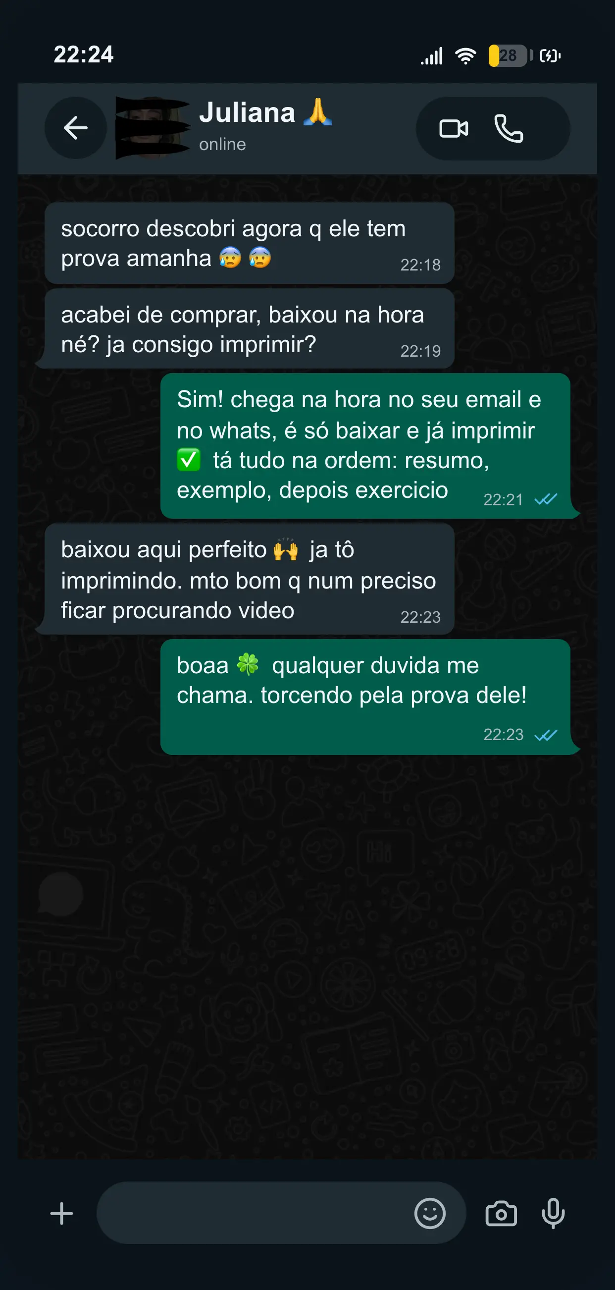 Print de conversa com cliente 3